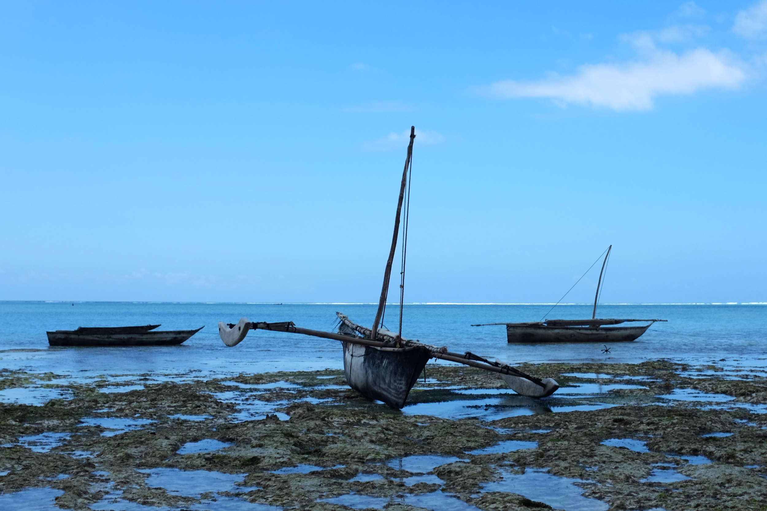 A traditional ngalawa resting in shallow water at low tide in Zanzibar. © EHBLX